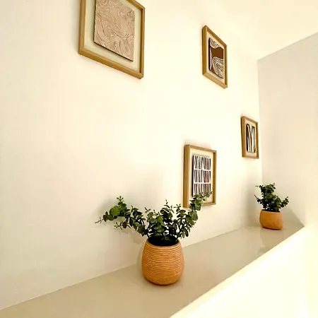 Apartamento Duplex Mercado
